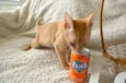 COCA E FANTA