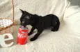 COCA E FANTA