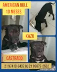 Kazu