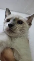 Mumu