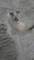 Mumu