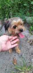 Bilu e Bibi