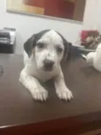 Kloe