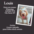Louis
