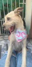 ESTRELA