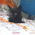 Dunna