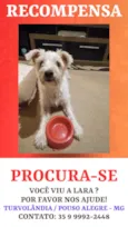 GRATIFICA - LARA