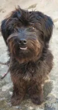 Bob