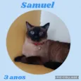 Samuel