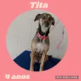 Tita