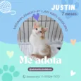 Justin