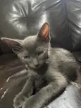 Zion