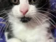 Tom