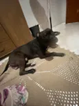 Vilão 