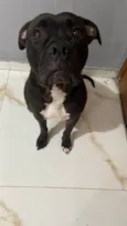 Vilão 
