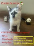 Mancha