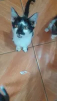 ......