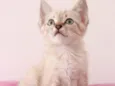 ...........