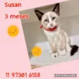Susan