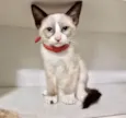 Susan