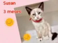 Susan