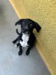 Miguel