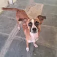 Lola