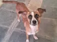 Lola