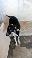 Kiara