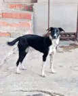 Kiara