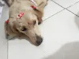 Meg