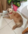 Meg
