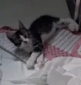Doçura