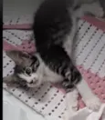Doçura