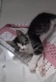 Doçura