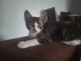 Doçura