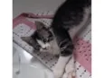 Doçura