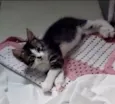 Doçura