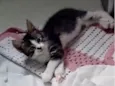Doçura