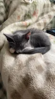 Jack