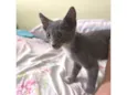 Jack