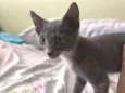 Jack