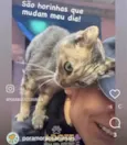 NinaLinda