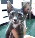 Jack