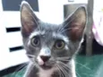 Jack