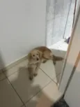 Princesa