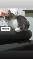 Não tem