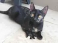Nina