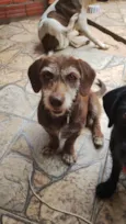 MEL