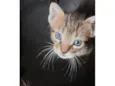 Simba
